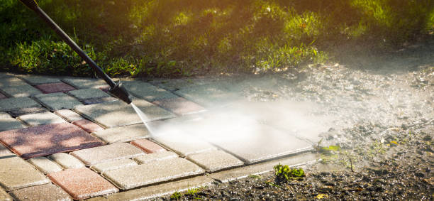 Best Driveway Cleaning and Restoration in Pottsville, AR